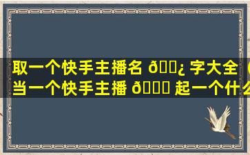 取一个快手主播名 🌿 字大全（当一个快手主播 🕊 起一个什么名字好听）